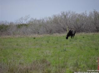 131 County Road 307, Tilden, TX 78072