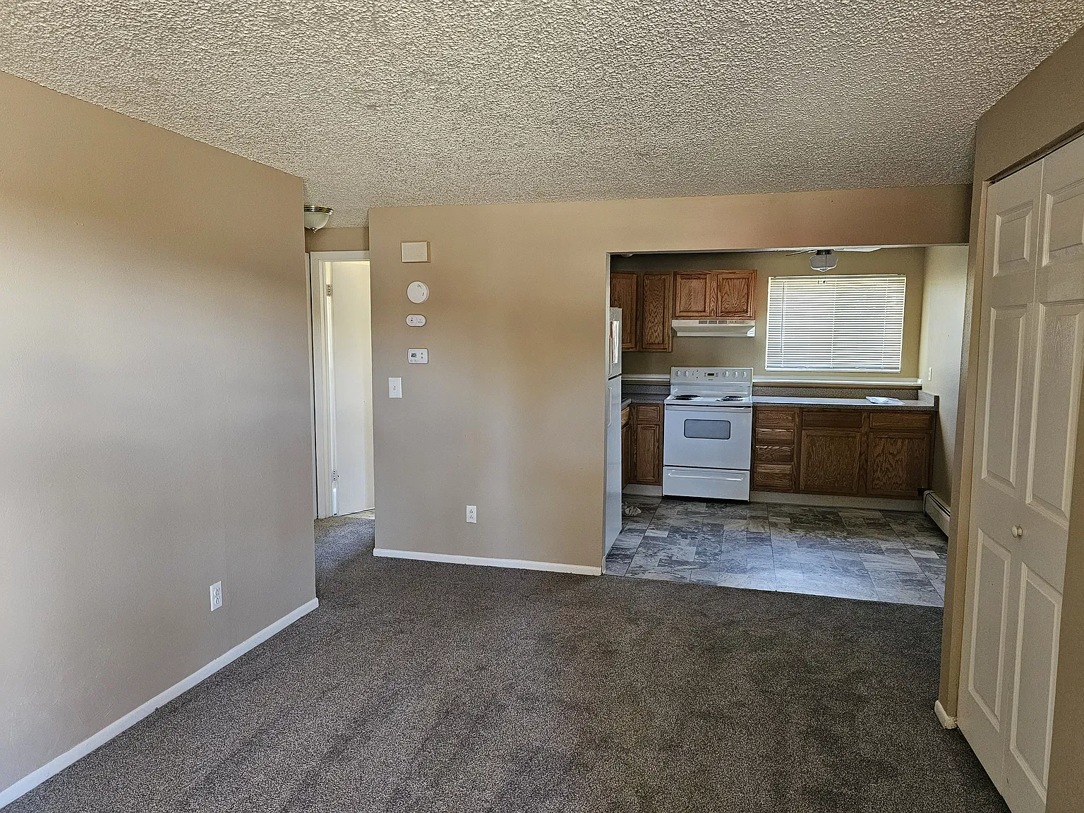 1155 Chiricahua Loop #3 Colorado Springs, CO, 80915 — Photo 2