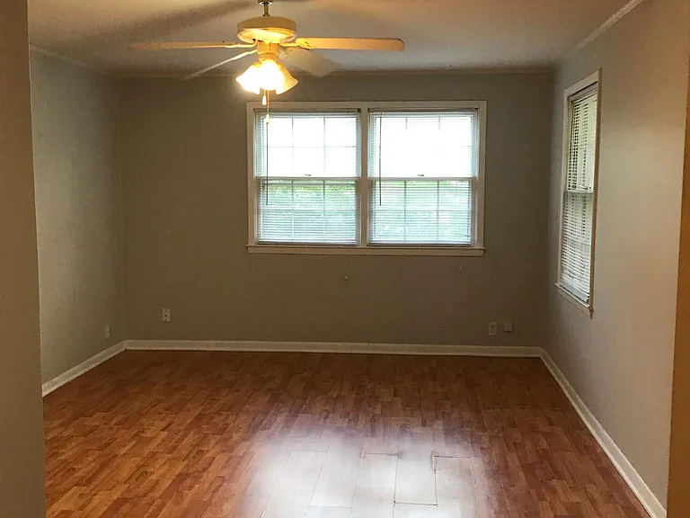Lower bedroom/family room