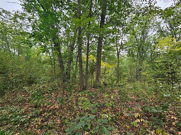 3rd image of 0 County Road 374