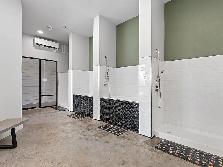 Maple + Denton — Photo 22