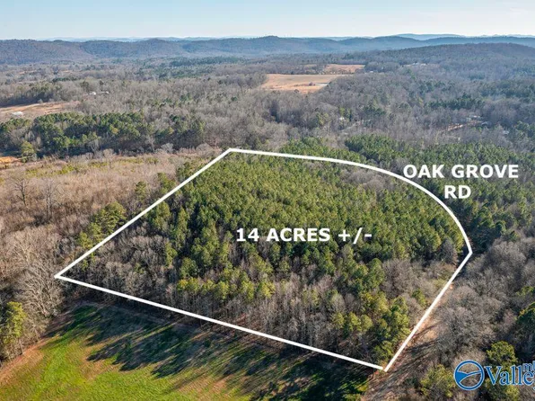 /oak Grove Rd, Attalla, AL 35954
