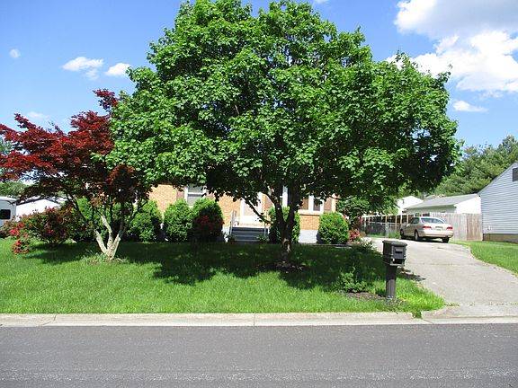 4th image of 5425 Bauman Dr