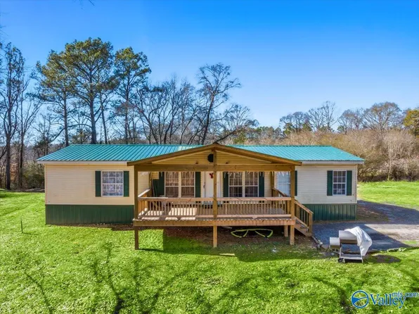179 Raintree Dr, Horton, AL 35980