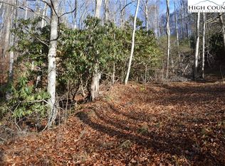 New River Dr, Crumpler, NC 28617