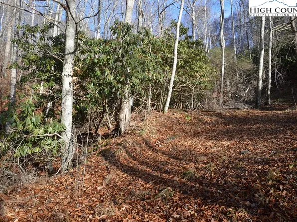 TBD New River Court, Crumpler, NC 28617
