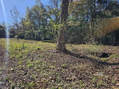 22346 Washington Ave, Florala, AL, 36442