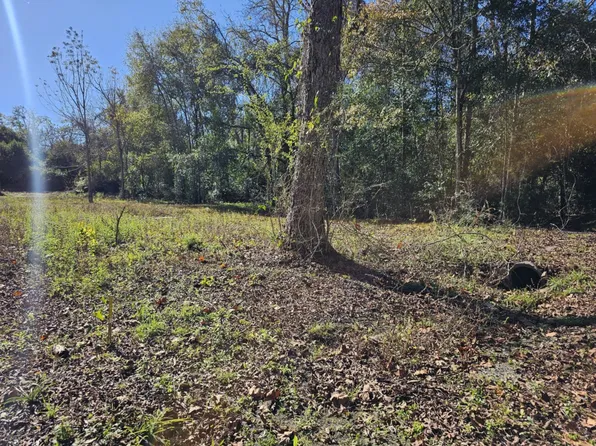 22346 Washington Ave, Florala, AL 36442