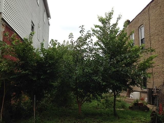 2nd image of 543 N Wood St #1