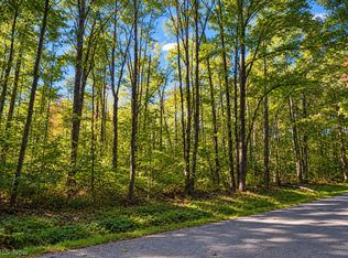 V/l Homewood Ave, Ashtabula, OH 44004