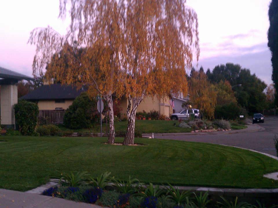 1st image of 825 Sartori Dr