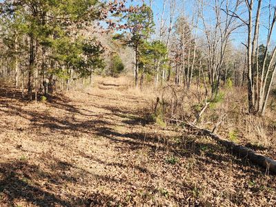 0 Nine Mile Ridge Rd, Duck River, TN, 38454