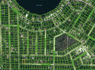 239 Crosby Ave NW, Lake Placid, FL 33852