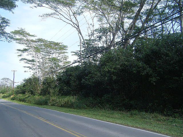 1st image of Paradise Dr. #Phh904