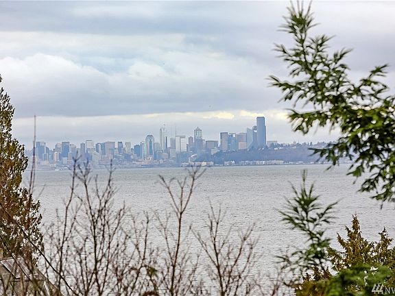 ...the Seattle skyline.  