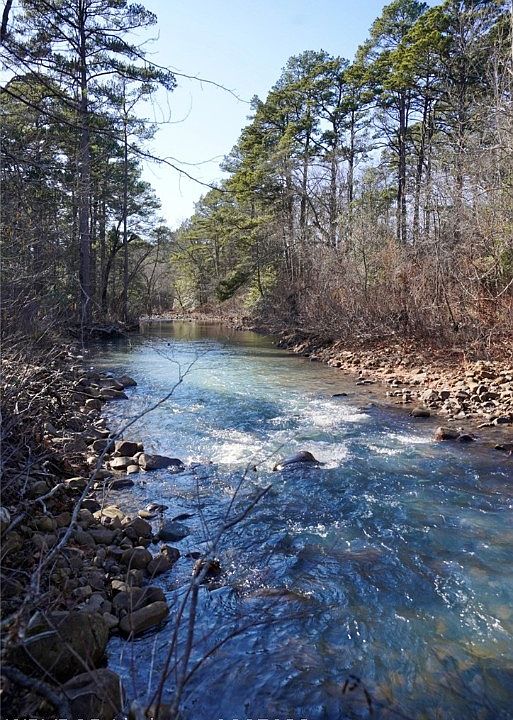 1st image of 16648 State Highway 63