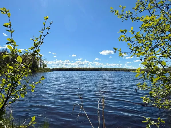 Langford Lake Rd, Watersmeet, MI 49969