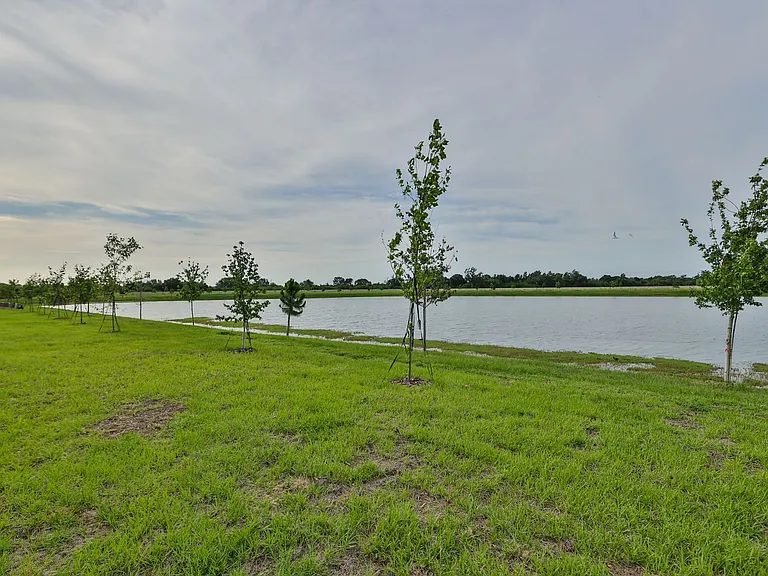 233 Mangrove Shade Cir — Photo 37