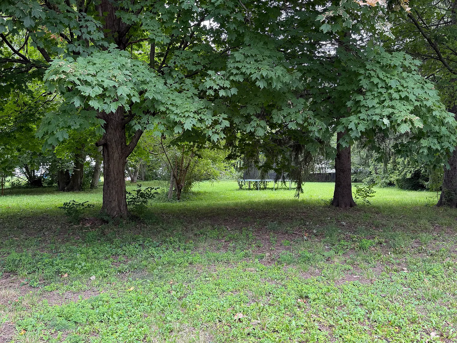 3 bed, 1560 sqft, $1,600 — Photo 2
