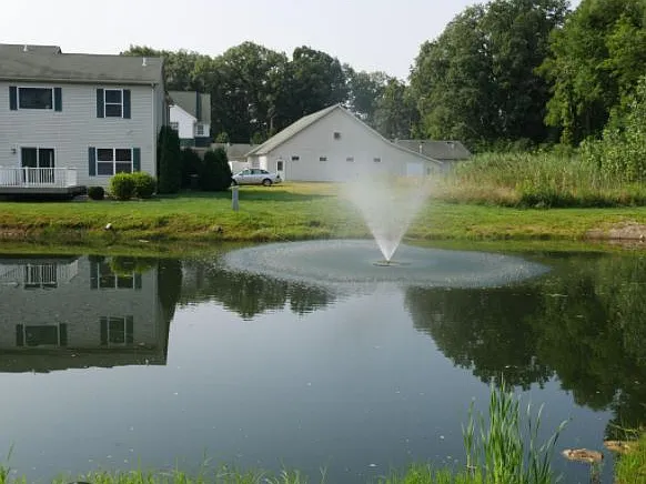3 bed, 1700 sqft, $2,400 — Photo 4
