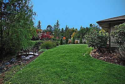 Side yard w/ seasonal stream