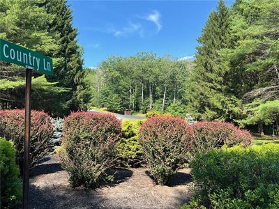  Country Lane, Callicoon, NY, 12723