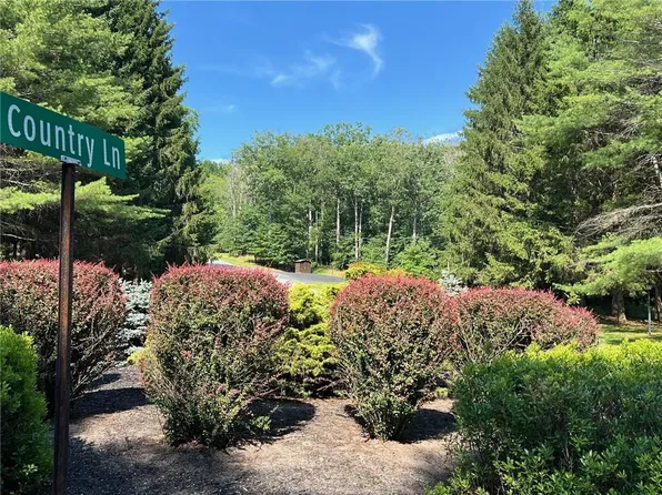 Country Lane, Callicoon, NY 12723