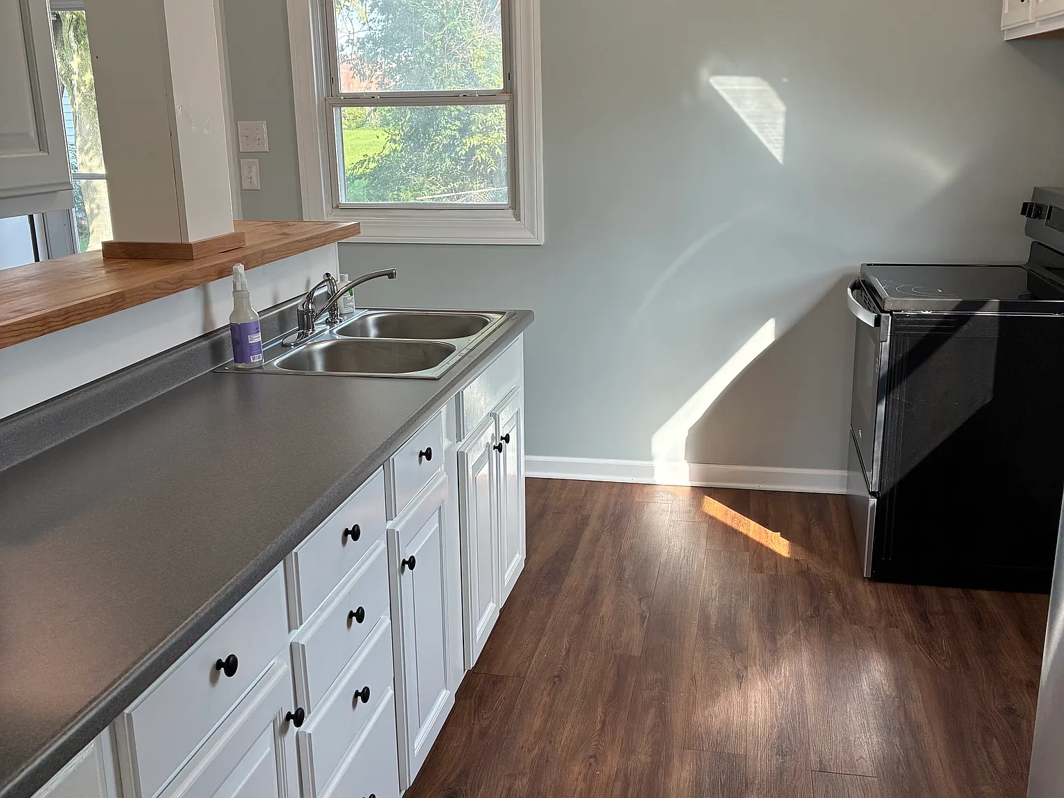 3 bed, 875 sqft, $1,700 — Photo 3