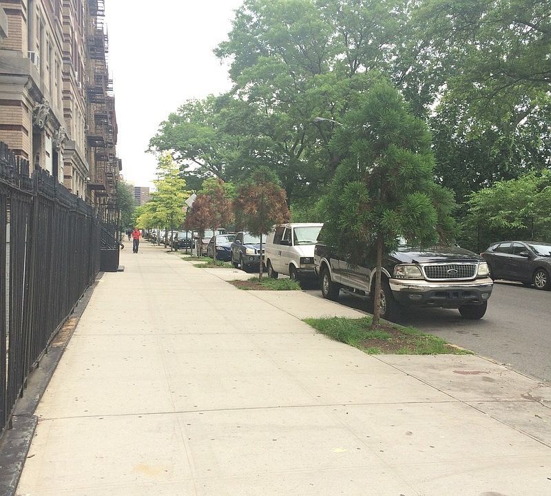 1st image of 291 Edgecombe Ave APT 2B