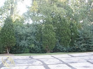 4th image of 2232 Sudbury Way