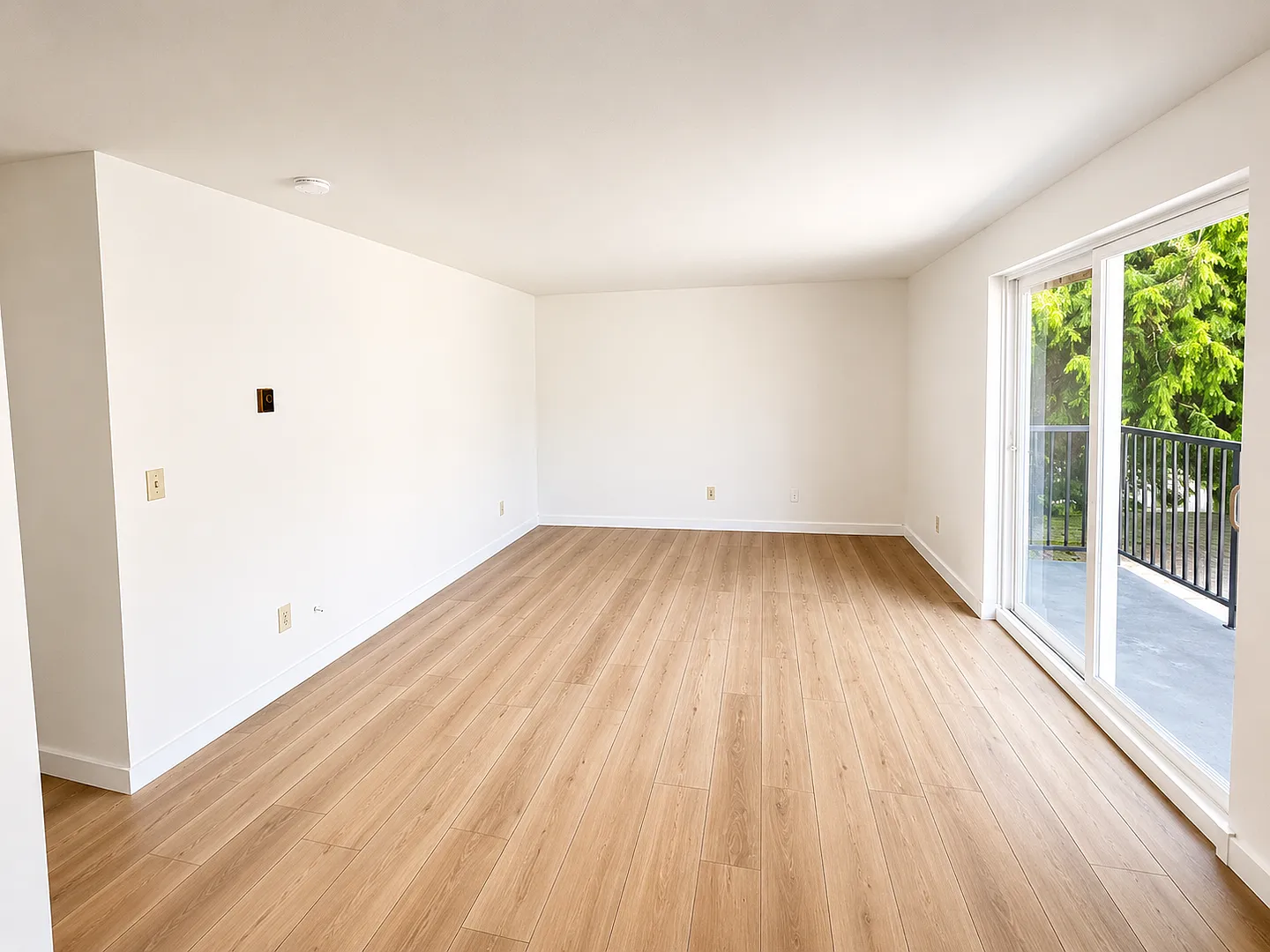 Maple Lane — Photo 2