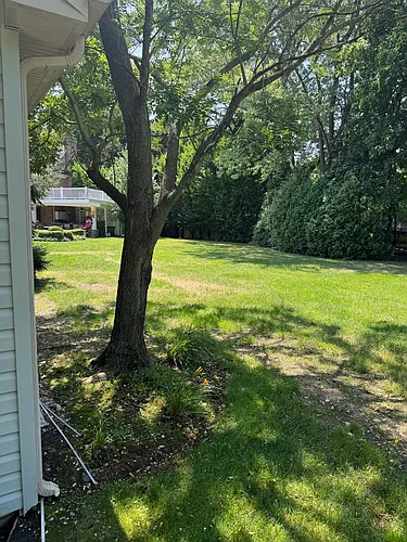 155 Old Country Rd #1 Photo 1