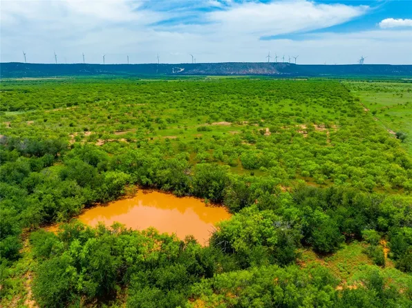 Tbd County Rd #611, Trent, TX 79561