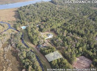 LOT 66 Branch Creek Rd, Woodbine, GA 31569