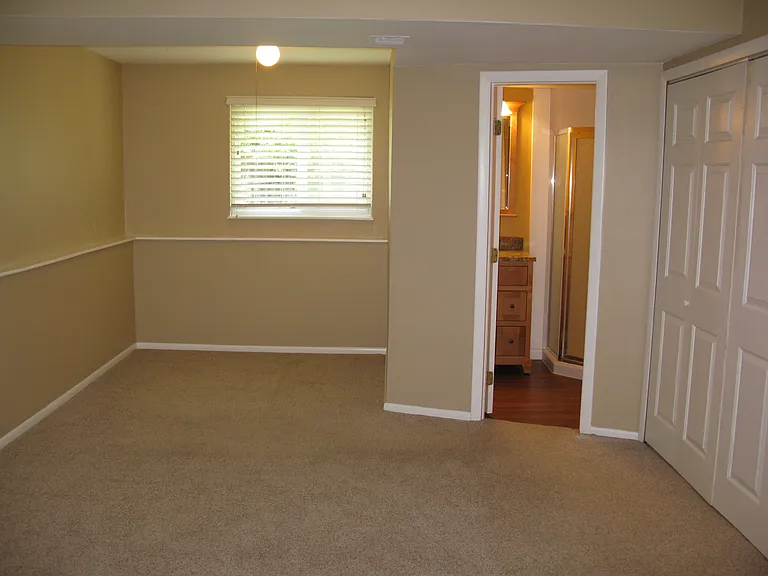 Bedroom/Flex Room - Downstairs