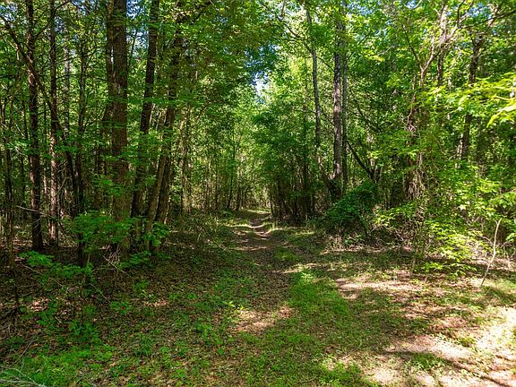 5th image of 0 Acklin Gap Rd