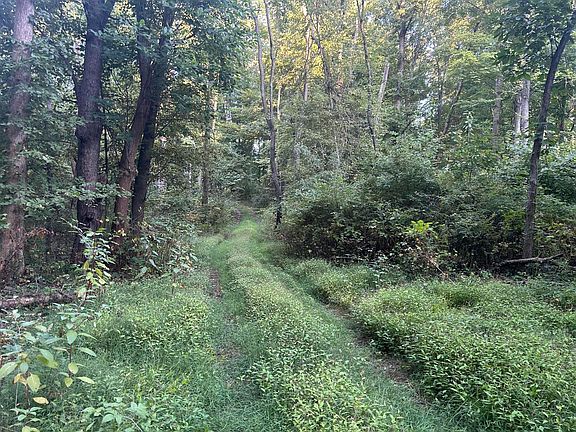 5th image of 11500 Goose Lake Rd