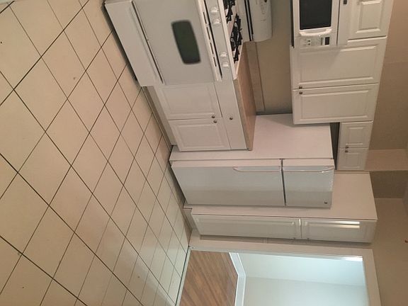 2nd image of 227 W Mt Plsnt Ave APT 1A