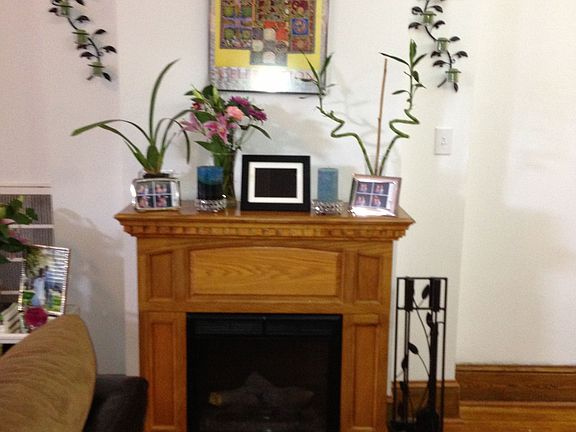 1st Fl. Fireplace/living rm