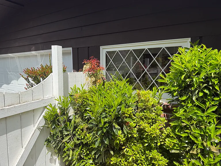 16410 Maplewild Ave SW — Photo 13
