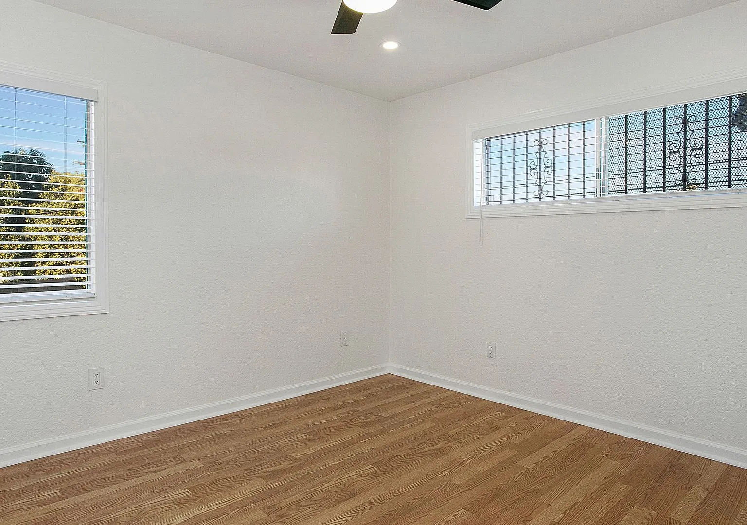 Linden Avenue Triplex — Photo 2