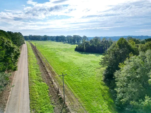 0 County Road 3339, Brundidge, AL 36010