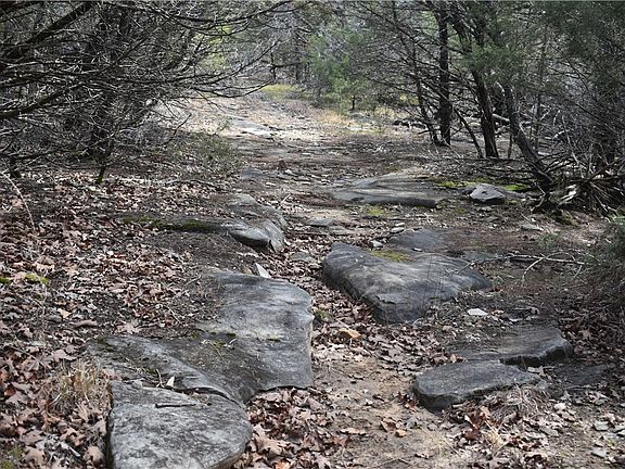 4th image of Cedar Creek Rd