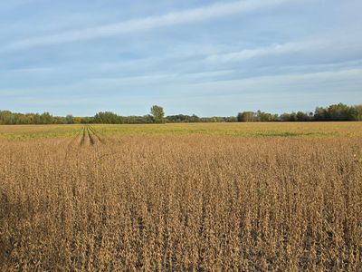 E Olive St, Ogilvie, MN, 56358