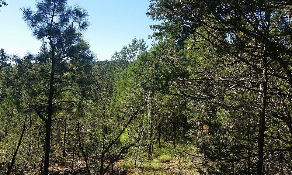 2nd image of Vail Loop