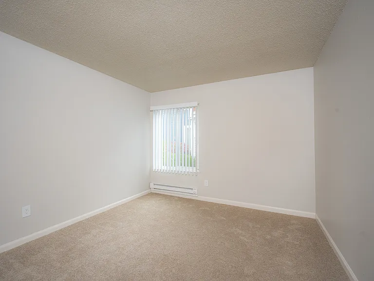 Brighten up your day in this sunlit, carpeted room - the perfect blank canvas.