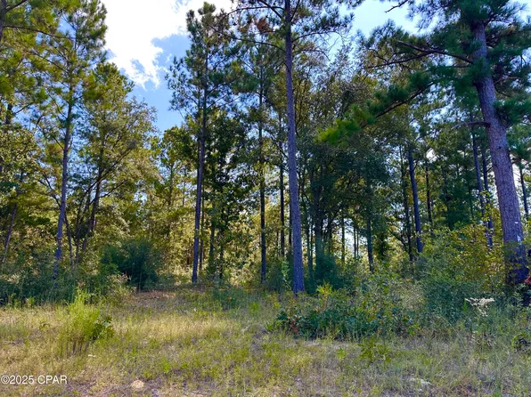 24 Fairview Rd, Marianna, FL 32448
