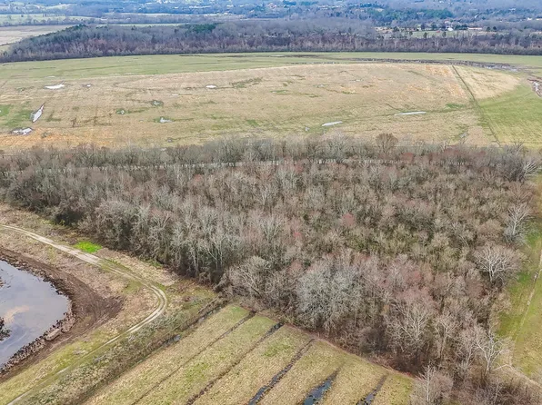 W C Kite Ln, Mosheim, TN 37818