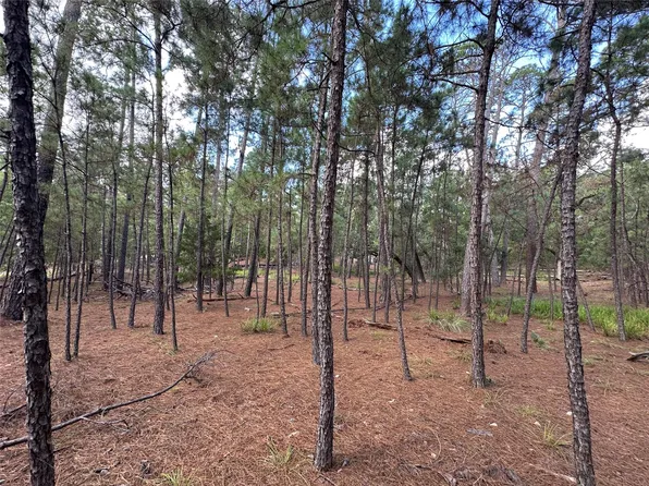 Otto Lane & Red Fox Rd, La Grange, TX 78945