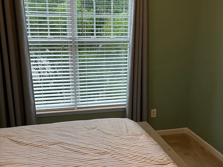 wooded view from guest bedroom